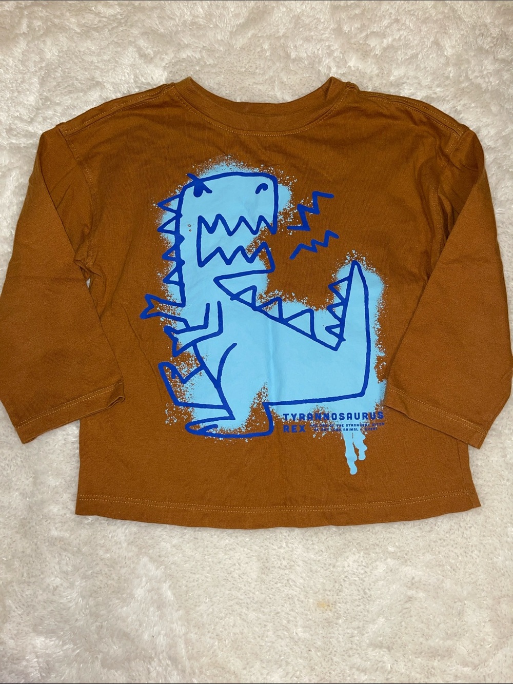 H&M Brown Long Sleeve Tee with Light Blue Dinosaur Graphic
